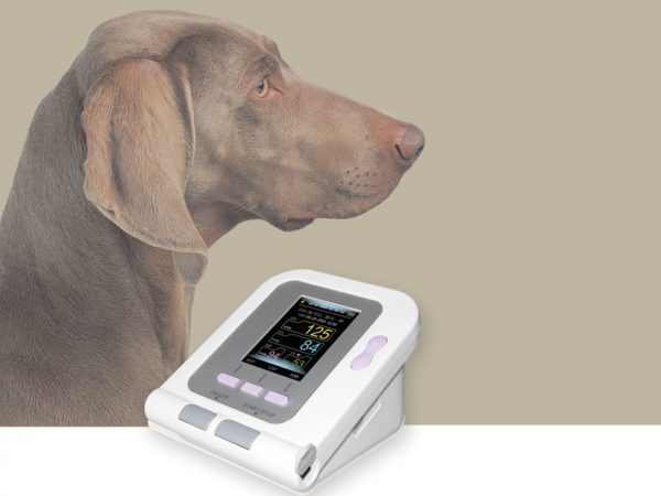 Misuratore di pressione per animali - 80550 - 2