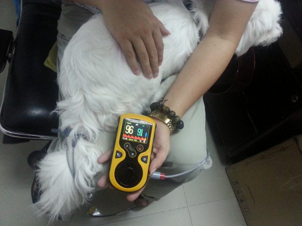 Pulsoximetro oxy-100 veterinaria - 34343 - 3