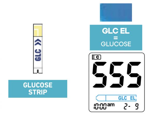 Strisce glicemia 24157 -5