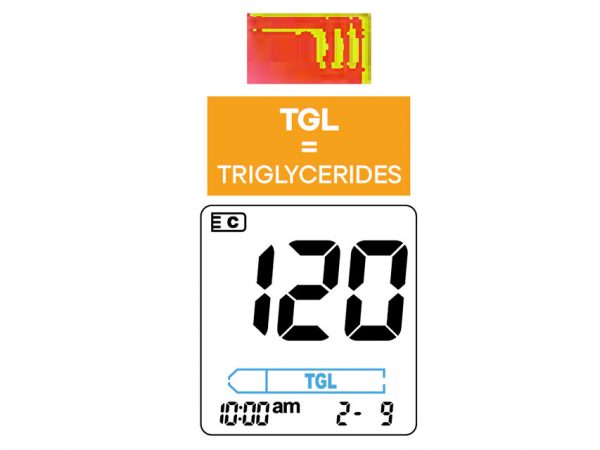 Strisce trigliceridi 24161 -3